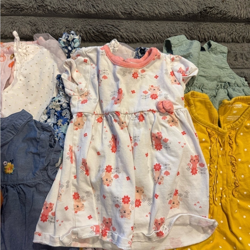 Bundle of Girls Dresses Range 3 Months to 3T - Picture 5 of 14